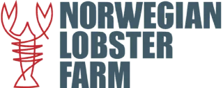 norwegian-lobster